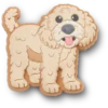 ‘B’golden Doodle Puppy Jibbitz-schoenbedel’