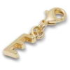 Gouden letter E-bedeltje Jibbitz™-bedels