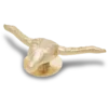 Gouden stier Jibbitz™-bedels