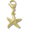 Gouden zeester Jibbitz™-bedel