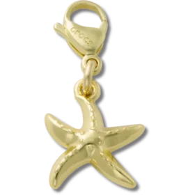 Gouden zeester Jibbitz™-bedel