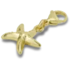 Gouden zeester Jibbitz™-bedel