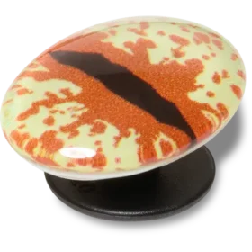 Hazel Animal Eye Jibbitz™ bedels
