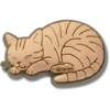Jibbitz bedels met gestreepte kat