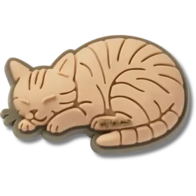 Jibbitz bedels met gestreepte kat