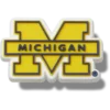 Jibbitz bedels van de Universiteit van Michigan