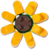 Lego® Zonnebloem Jibbitz™-bedels Lego® Zonnebloem Jibbitz™-bedels