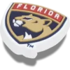 Nhl® Florida Panthers Jibbitz™ bedels