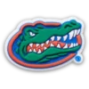 University of Florida Jibbitz™ bedels