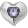 Zilveren en paarse Smt Gem Heart Jibbitz™-bedels